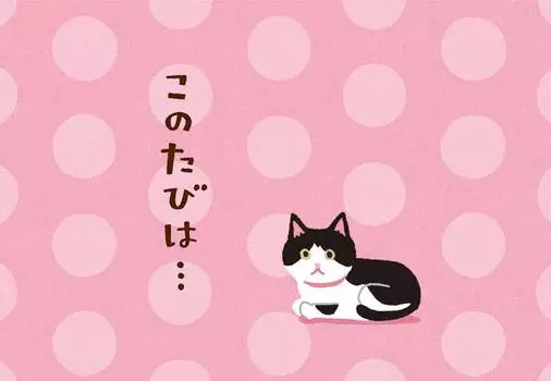 Sanrio Спасибо Nekoko no Tabiha Спасибо L 217 (САНРИО) TY17-9