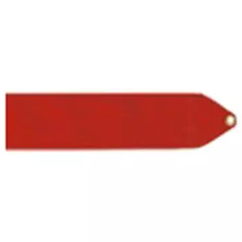 SASAKI Rhythmic Gymnastics Equipment Set Red MJ760S Stick/Ribbon