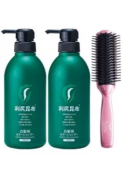 Sastty grey Большой объем шампуня Rishiri color 500 мл x 2 бутылки набор ионная щетка [Для волос] (черный) [Включая минералы] чёрный