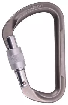 SBS screw A249N12117 roc teryx серый