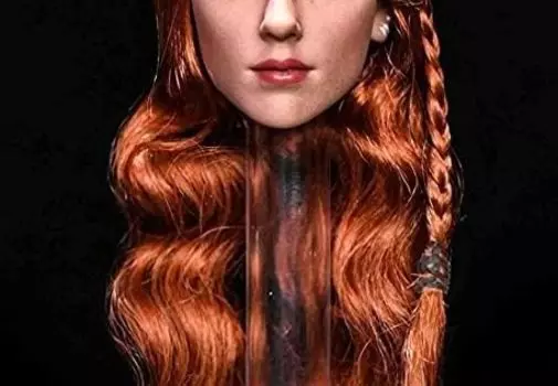 scale action figure NRTOYS NR30A European and American beautiful female head version and clothes not [TOYBARJAPAN] 1/6 7.0 (body included)