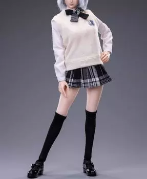 scale figure CDTOYS CD030A fashion beauty high school girl sailor stockings and shoes set and head not [TOYBARJAPAN] 1/6 suit, (body included)