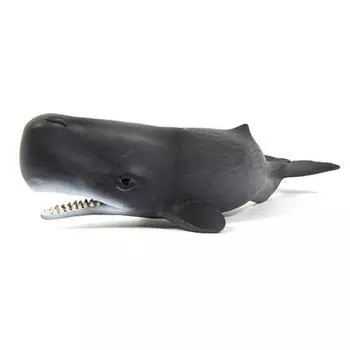 Schleich Кашалот SL14764 Фигурка, 1 шт., популярные игрушки в Корее