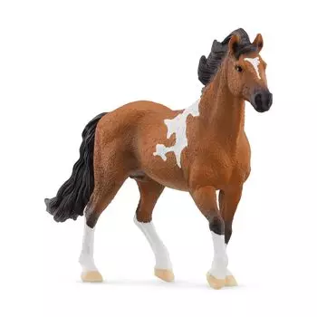 Schleich Конный клуб Мангалага Малкадор 13978 (мужчина)