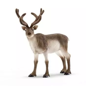 Schleich Reindeer SL14837, 1 шт., популярные игрушки в Корее