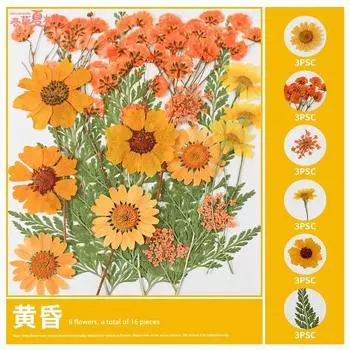 School Season Kids Dried Flower Transparent Bookmark Handmade DIY Material Package Embossed Plant Leaves Specimen Paste Storage [Dusk] Dried flower bag 16 pieces