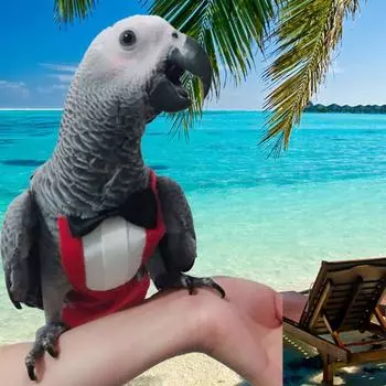 School Tuxedo Business Suit Party Prop Pet Diapers Parrots Uniform Birds Flight Suit Bird Nappy L-Black+white