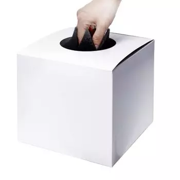 Сделано в Японии с завязанными глазами лотерейный лотерейный лотерейный лотерейный лист средней высоты x 20 см x нижняя бумажная аппликация, коробка, белая, простая, размер 18,5 см 20 см,