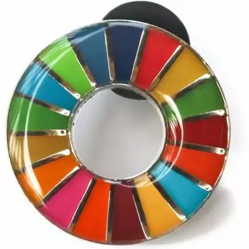 SDGs Pin Badge United Nations Badge Badge Finish (Rounded (20 Pieces))