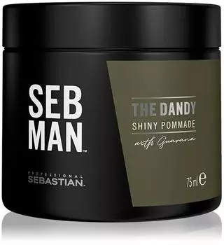 Sebastian Professional Seb Man The Dandy Pommade Cheveux Pour Une Fixation Naturelle TU прозрачный