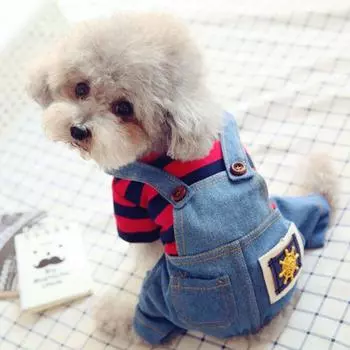 SEHOO Dog Denim Dog Dog Одежда для собак малых и средних домашних животных в холодную погоду для предотвращения появления волос Популярная одежда, парка, комбинезон, одежда, комбинезоны, одежда, весна,