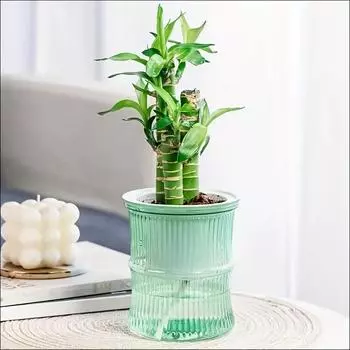 Self Watering Lazy Person Soil Cultivation Small Pot Living Room Desktop Bamboo Flower Planter Pots Transparent Vase Room Decor белый