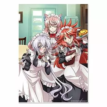 Senki Zesshou Symphogear XD UNLIMITED Визуальная акриловая пластина Maid Work Maria (Крис и Канаде)