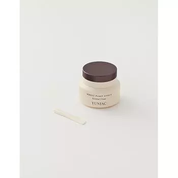 Seonsakucho Essential Cream 50ml