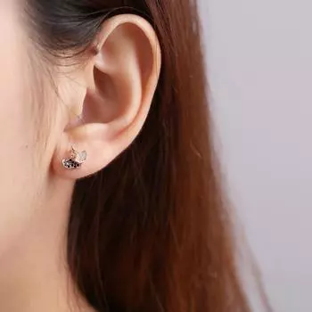 Серьги, инкрустированные бриллиантами. Девчачий стиль. Литературные и свежие серьги. Изысканные и элегантные серьги.