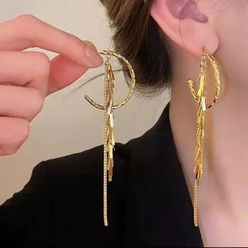 Серьги-кисточки с серебряными иглами и цирконами, расшитые пайетками, серьги с преувеличенным дизайном, модные металлические серьги с индивидуальностью в Европе и Америке золотой