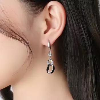 Серьги-подвески из стерлингового серебра 925 пробы для женщин, черные круглые подвески с кристаллами, новые ювелирные изделия в подарок девушке Fql22046 4.6*1.4cm