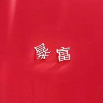 Серьги с богатым текстовым дизайном для женщин с серьгами-нишами Простые серьги Аксессуары Модная индивидуальность