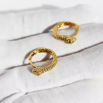 Серьги серии Snake Guardian, нейтральный стиль, хип-хоп, модные, крутые, золотые серьги-змеи со знаком зодиака 122