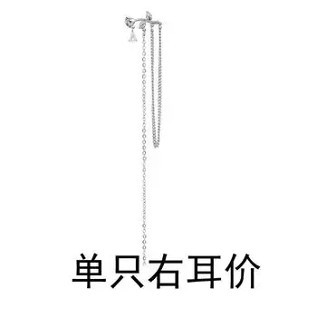 Серьги в виде шипов и роз Холодные и прохладные капли воды Цирконовые серьги с длинными бахромчатыми цветами Изысканные знаменитости из Интернета демонстрируют тонкие лица copper