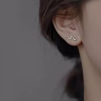 «Серьги-змеи 2024 Niche 925 пробы — миниатюрные серьги для пар, модные и уникальные»