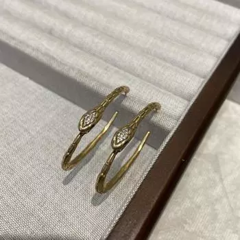 серьги-змеи с бриллиантами ins слегка инкрустированные цирконием металлическая текстура модный ретро стиль Гонконг осенние и зимние серьги-змеи