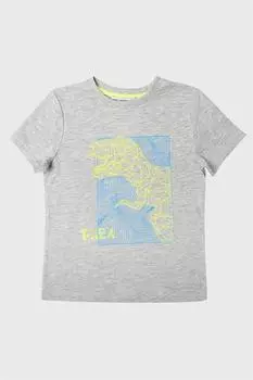 Серая меланжевая футболка с принтом динозавров