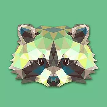 Серия животных Все 11 типов 5D Diamond DIY Diamond Number Rhinestone Kit для взрослых и детей Diamond Art Kit, (енот)