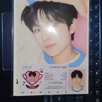 Сертификат на фото Ncity Wish Yushi Steady Pop Up, удостоверение личности с фотографией