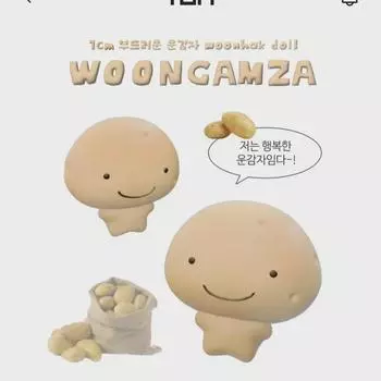 Сертификат на усыновление куклы-плаща Lucky Potato Boynextdoor Bonek-do Unhak