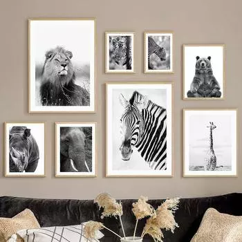 Серые тона дикий лев, тигр, зебра, слон, медведь, настенная живопись на холсте, постеры на скандинавскую тему и принты, фотографии для декора гостиной 21x30cm No Framed