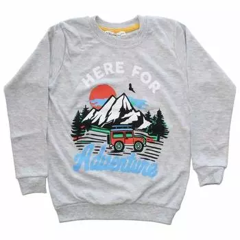 Серый свитер с принтом Adventure для мальчиков