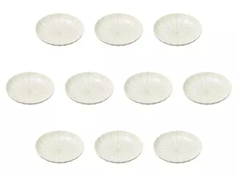 Set of 10 White Matte Tokusa Plates x Medium Plates Setomonohonpo 5.0 [16.3 3.5 cm]