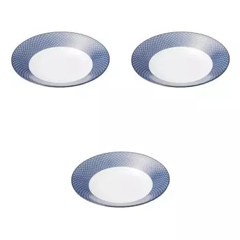 Set of 3 Antique Blue and Blue Shallow Bowls x Ceramic Serving Setomonohonpo Cloisonn 27.5cm [27.5 4.6cm] Plates,