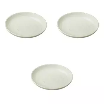 Set of 3 Ikoi Plates x Large Ceramic Plates by Setomonohonpo 8.0 [25 4cm]