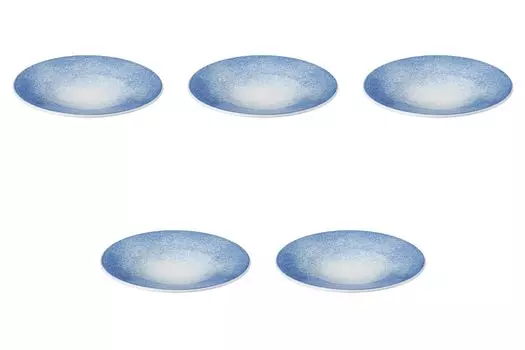 Set of 5 Blown Ink Round Plates x Round Plates Setomonohonpo 8-inch [24.8 3.8 cm] (Medium)