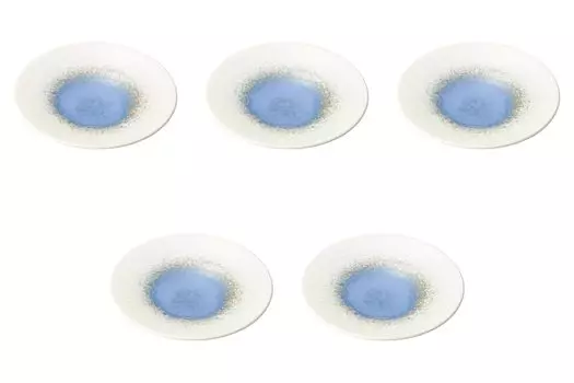 Set of 5 Blue Watercolor Double Ring Plates 24cm Round Plate Setomonohonpo [24.53.5cm] (Medium)