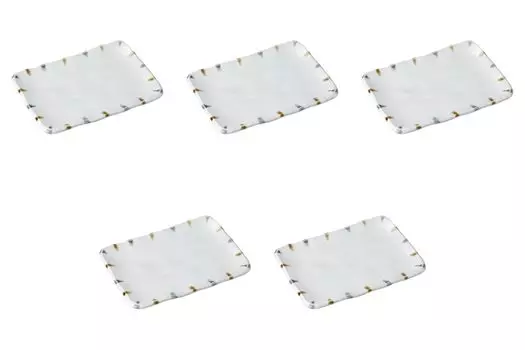 Set of 5 brushed rim ware plates x x ware plates Setomonohonpo 8.0cm 2-color [22 15.5 2.7 cm]