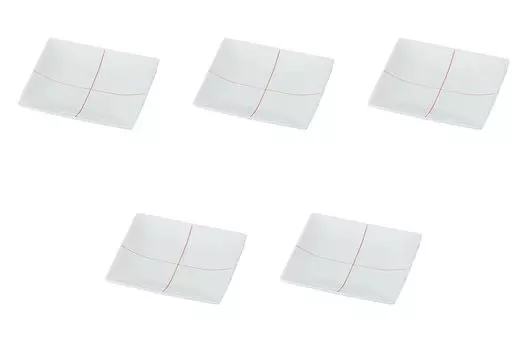 Set of 5 Checkered Plates R x x Arita Ware Side Plates Setomonohonpo (S) [14.7 14.7 1.7 cm]