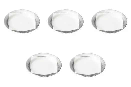 Set of 5 Platinum Square Plates with Rims x Small Round Plates by Setomonohonpo 6.5-inch [19.3 2.7 cm]
