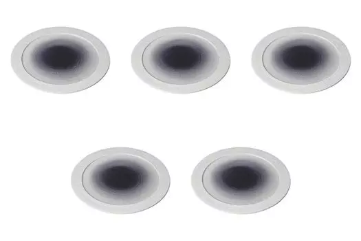 Set of 5 Purple Flat Plates x Round Plate Setomonohonpo (Small) [23.5 0.8 cm] (Extra Large) фиолетовый