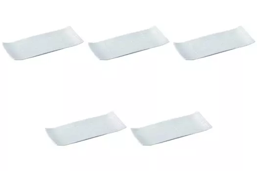 Set of 5 Sudare rectangular plates x x Rectangular plates Setomonohonpo 9.0 [28 11.5 2.8 cm] (medium)