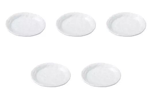 Set of 5 White Rough Stone 17cm Round Plates Side Plates Setomonohonpo [172cm]