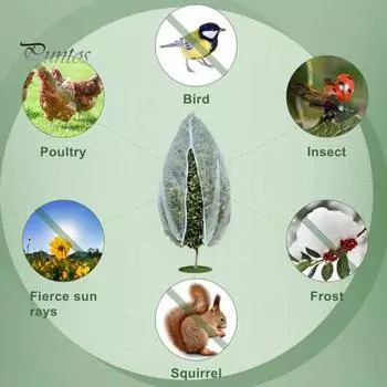 Сетчатый чехол для защиты от насекомых, сетчатые сумки для фруктовых деревьев с застежкой-молнией, защитная сетка от насекомых и птиц для фруктовых овощей, деревьев, кустов, цветов XS