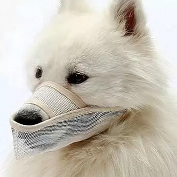 Сетчатый намордник для собак Pastel Pet среднего и крупного размера M, бежевый, 1 шт.