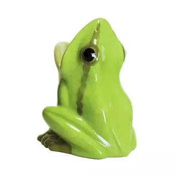 Setcraft Toothbrush Stand Tree Frog SP-5756
