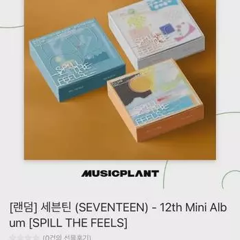 Seventeen 12th Mini Album