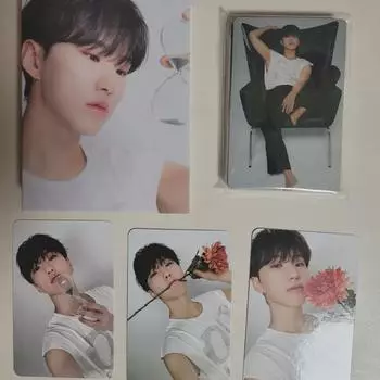 Seventeen Best Album Maestro Deer Version Hoshi