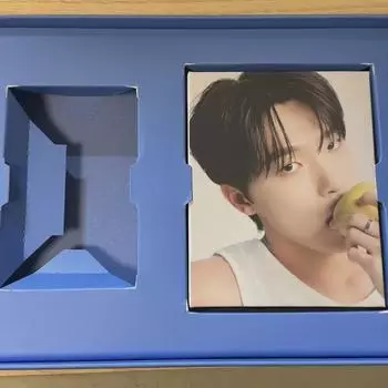 Seventeen Dino Carat Van Seventeen Lightheer