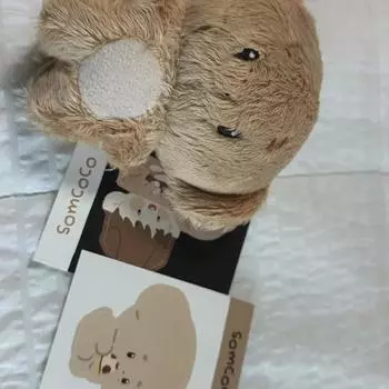 Seventeen Dk Doll Somcoco